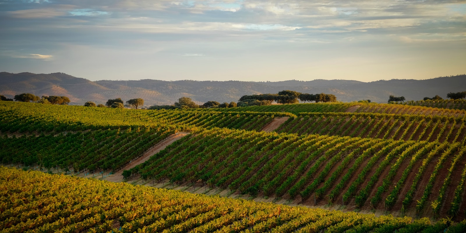 Portugal Region Alentejo 1