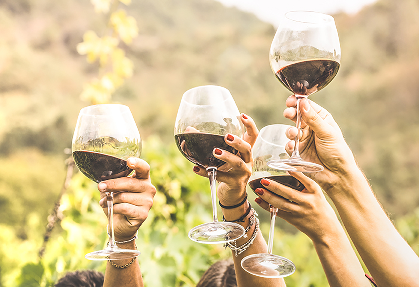Friends toasting with wine