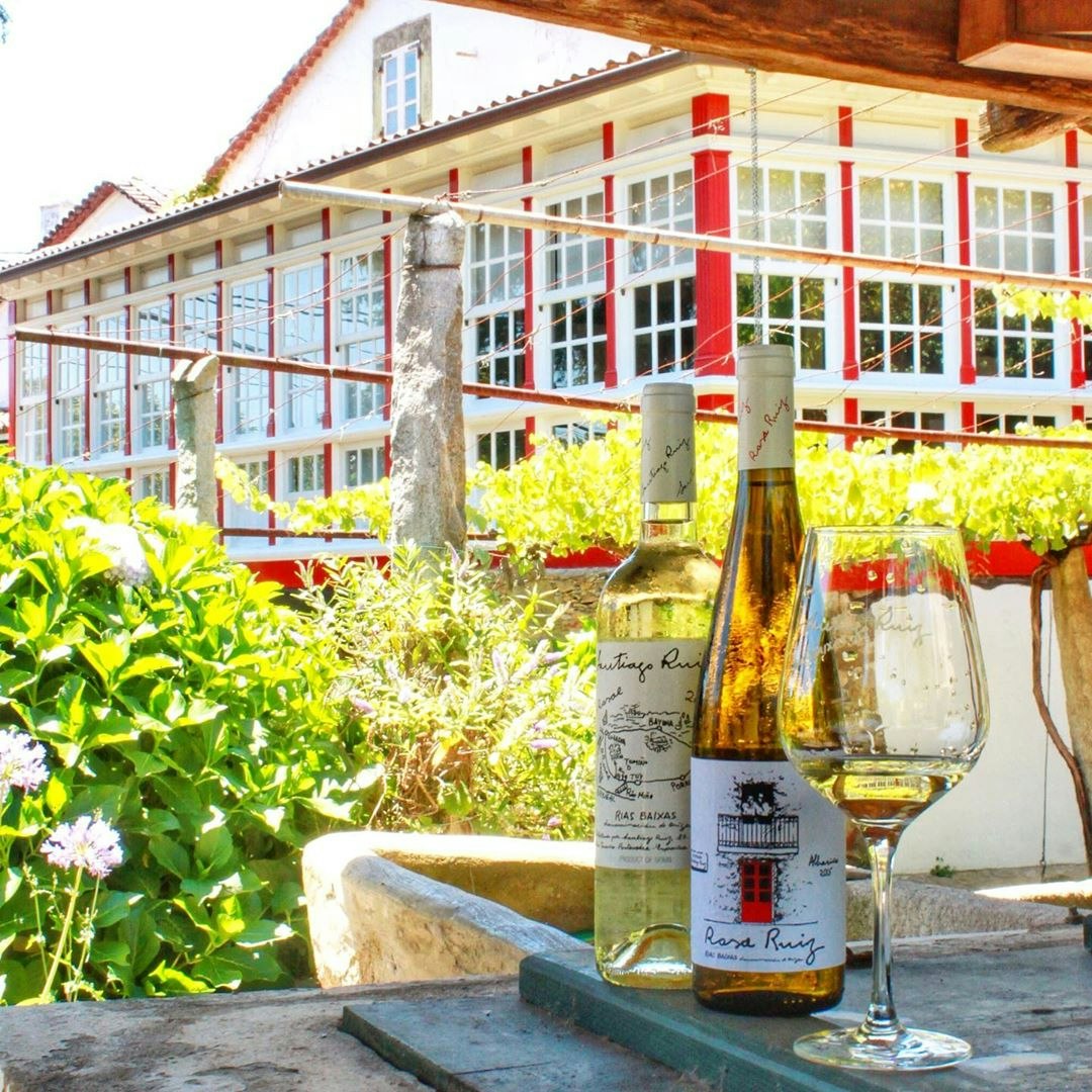 Santiago Ruiz wine