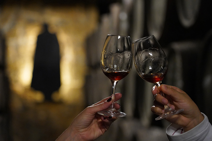 Portugal Wine Tourism Caves Sandeman 2