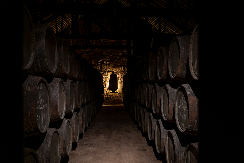 Portugal Wine Tourism Caves Sandeman 11