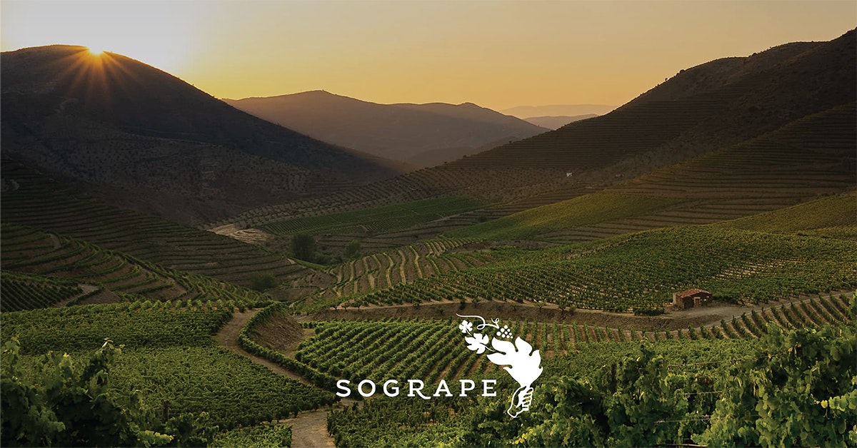Sogrape logo