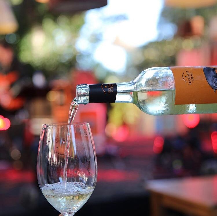 wine glass trinca bolotas