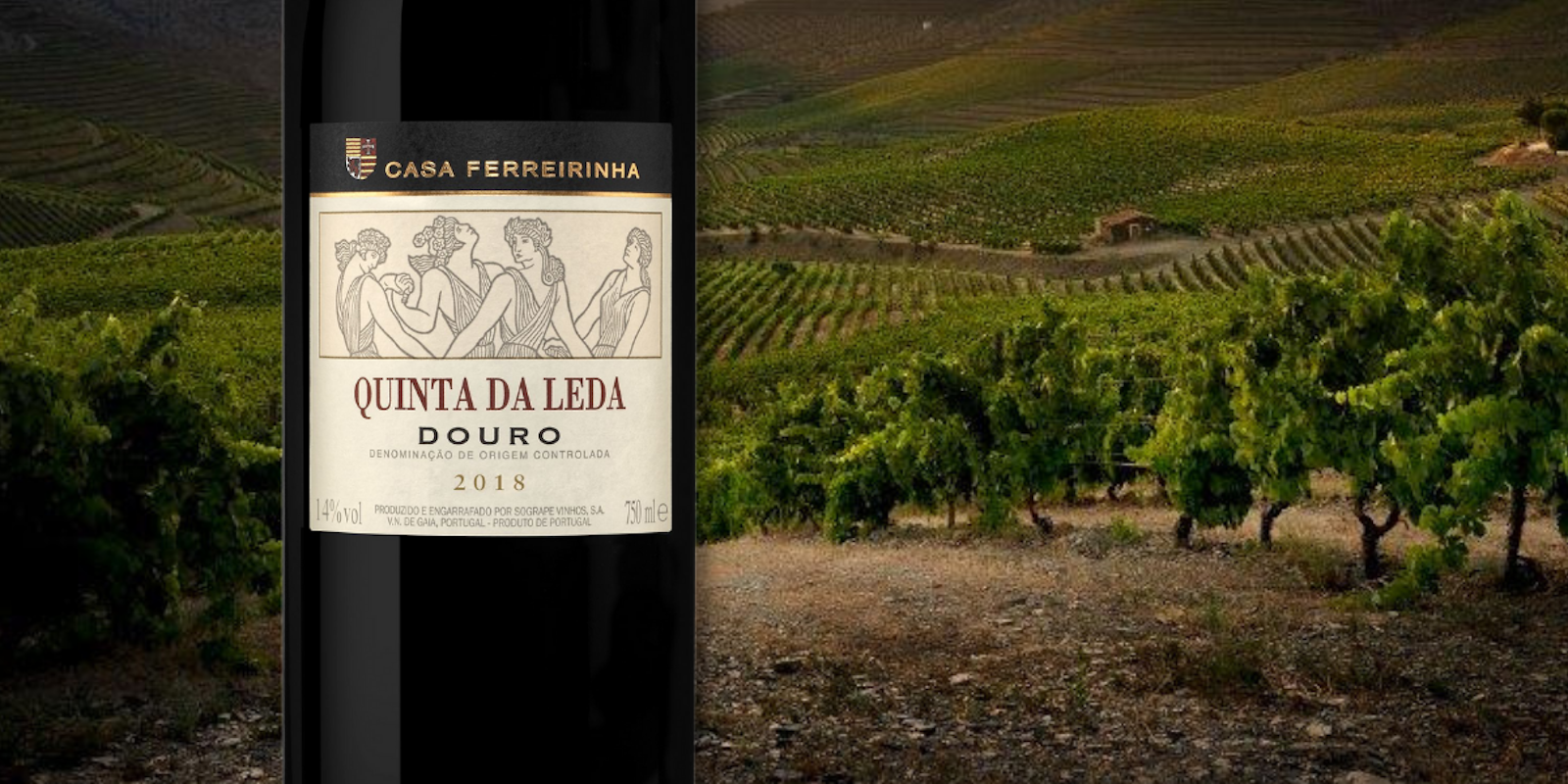 a bottle of Quinta da Leda 2018 in front of the vineyards