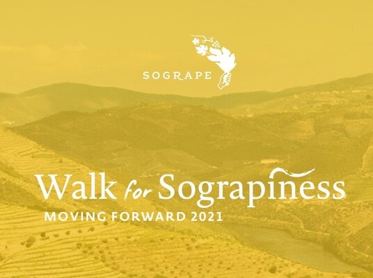 Caminhada solidária da Sogrape