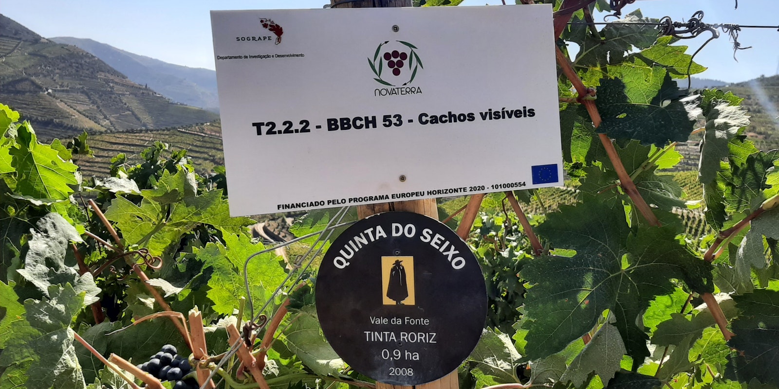 quinta do seixo