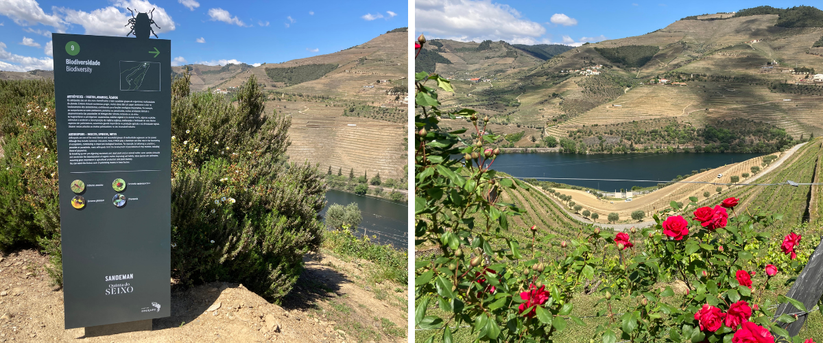 Percurso da Biodiversidade na Quinta do Seixo