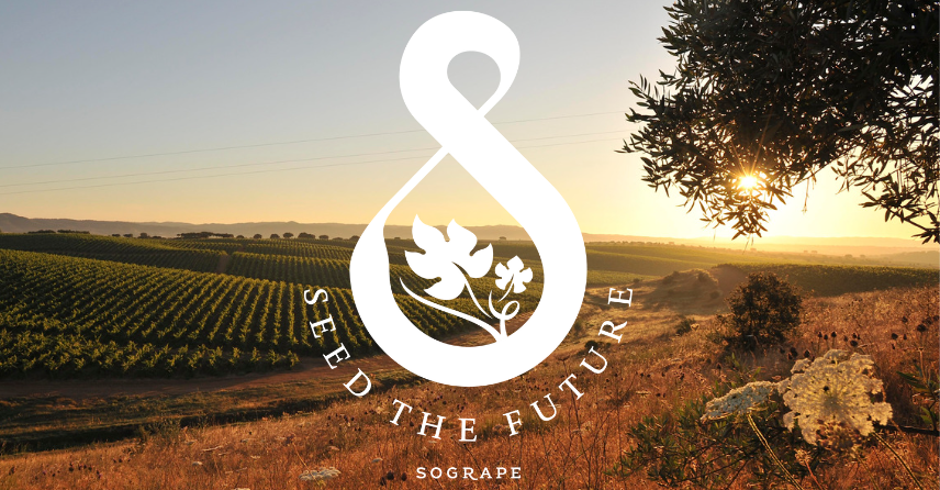 imagem Seed the Future Sogrape