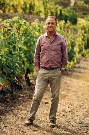 Head of Douro Wines Sogrape