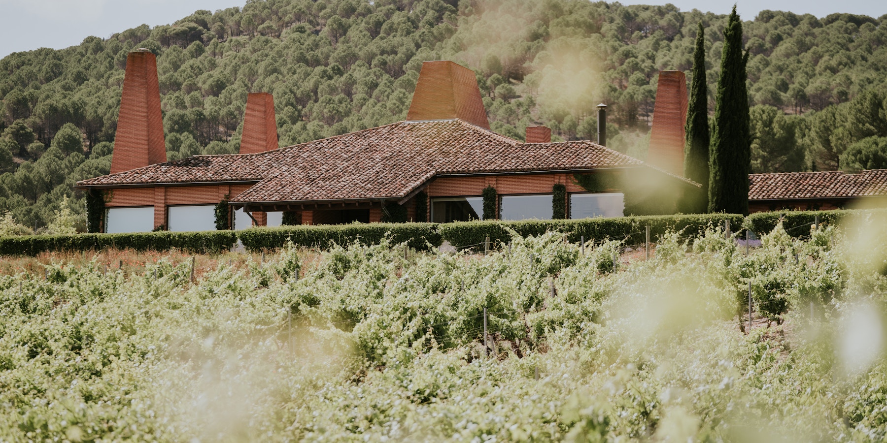 Wine estate in Spain