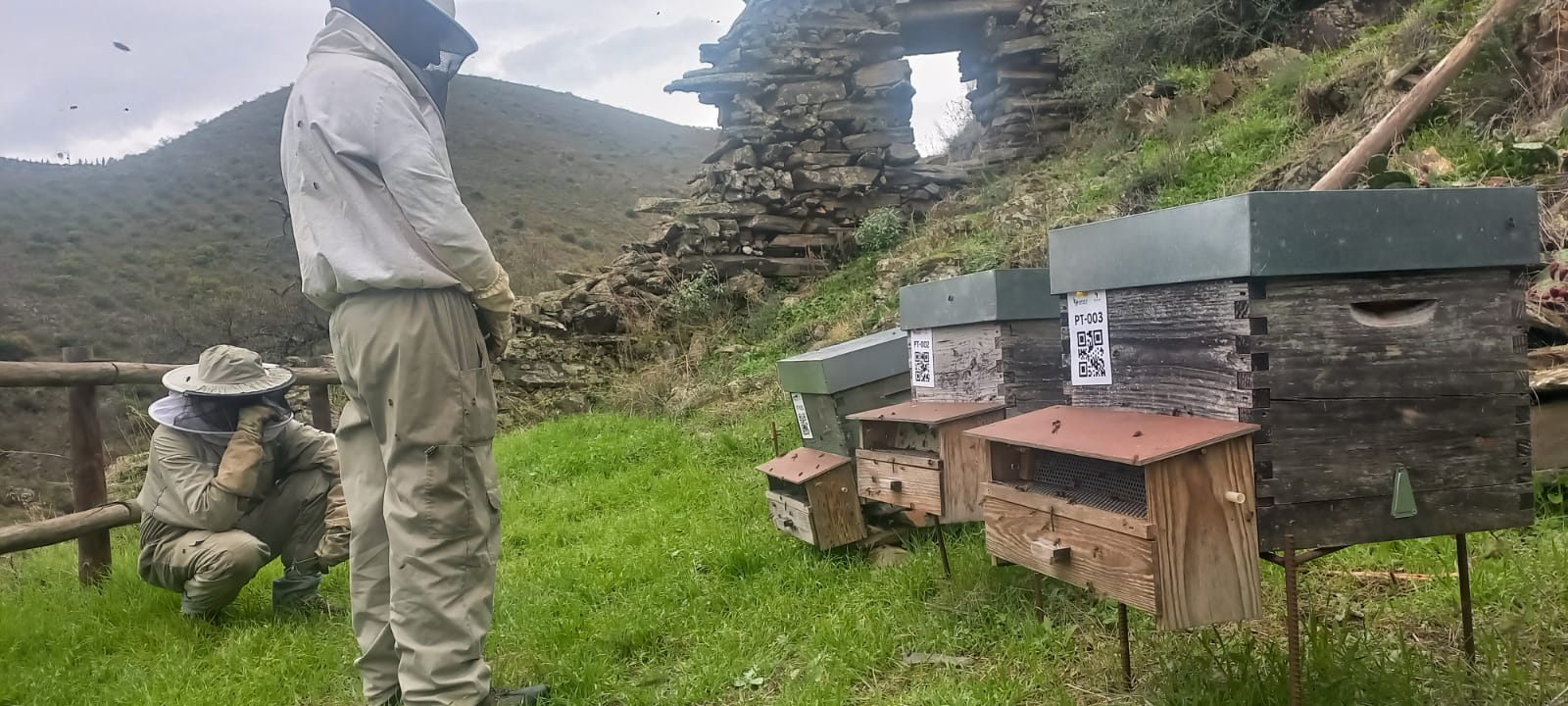 Proyecto UBEES