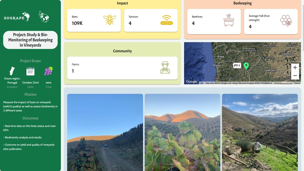 UBEES project