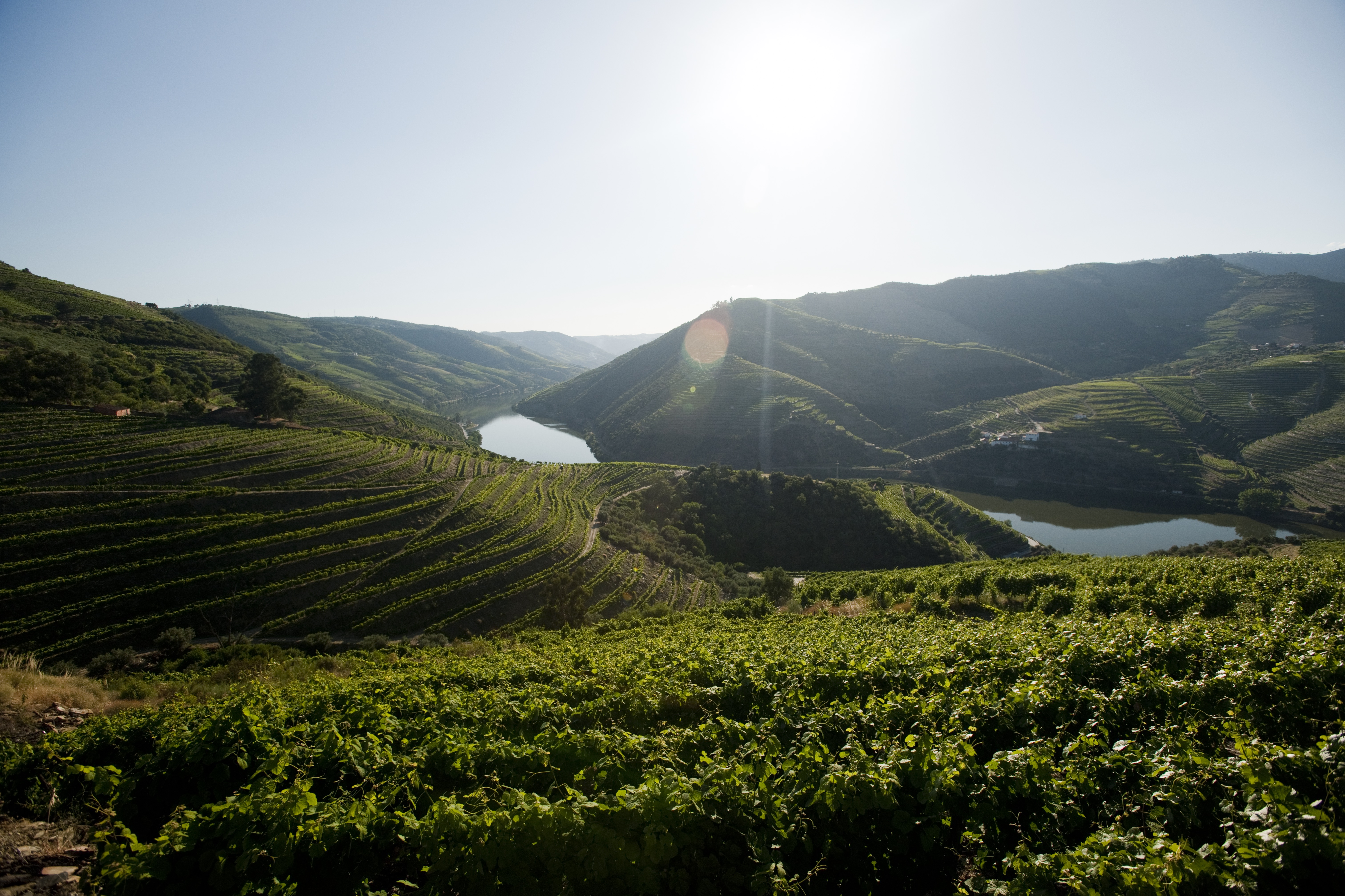 vinhas em socalcos ao longo do horizonte entre várias montanhas