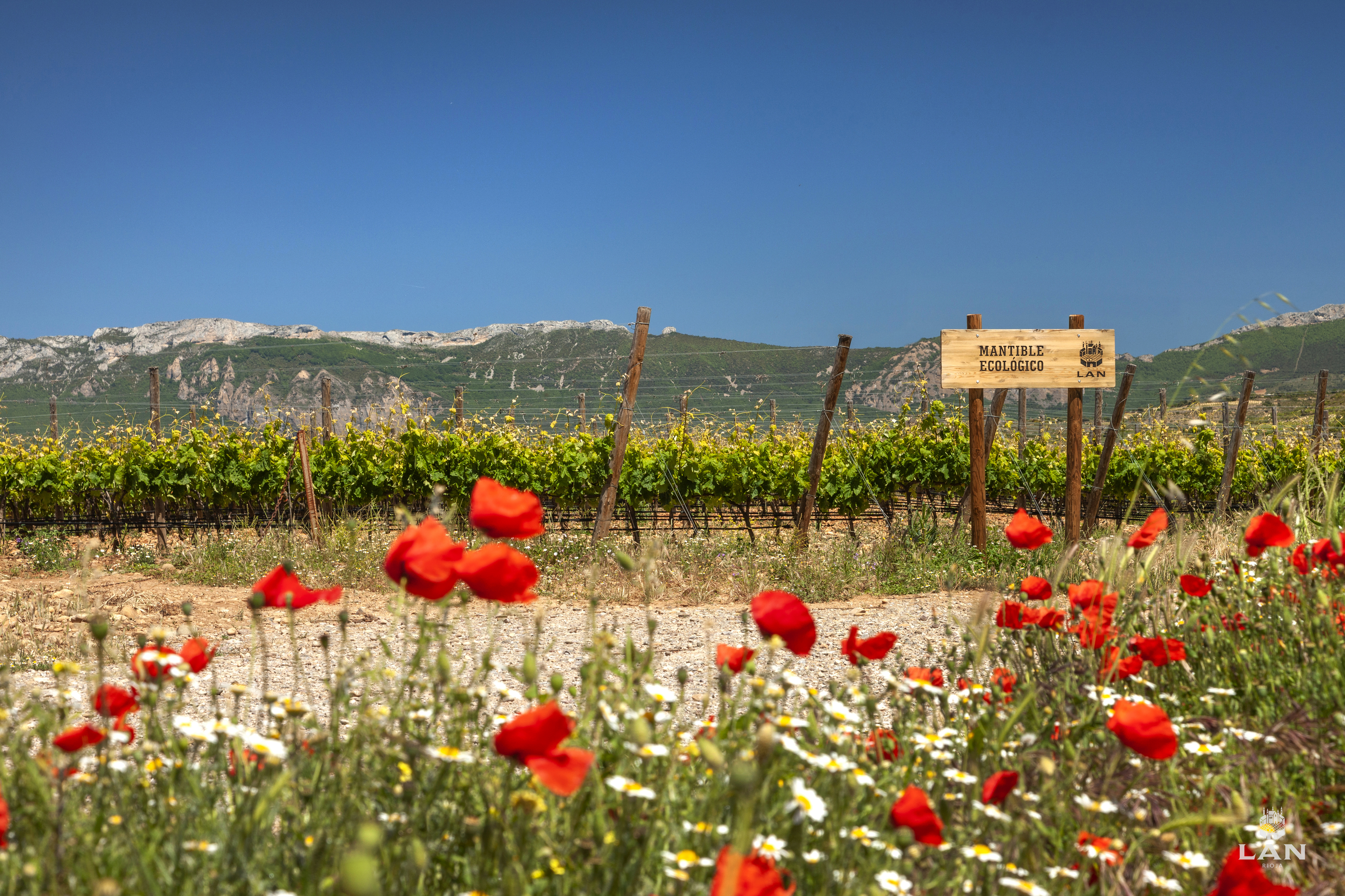 Bodegas LAN es ahora Silver Member de International Wineries for Climate Action