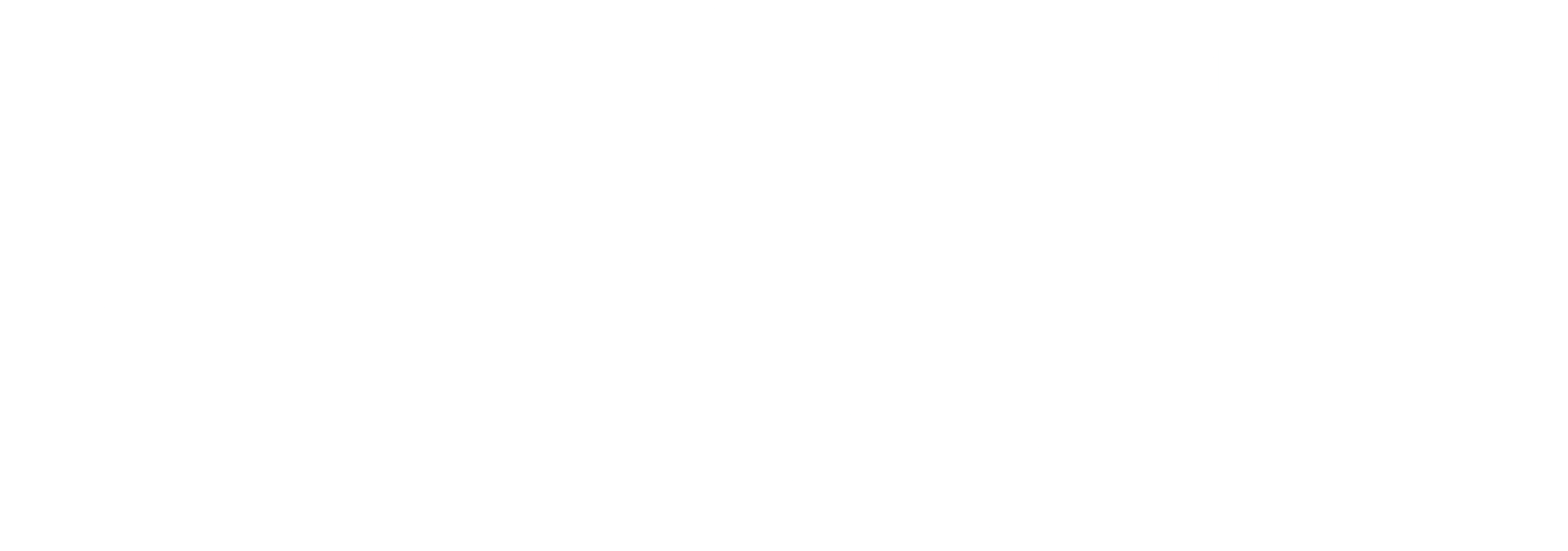 Sogrape Wine Academy - Light Logo
