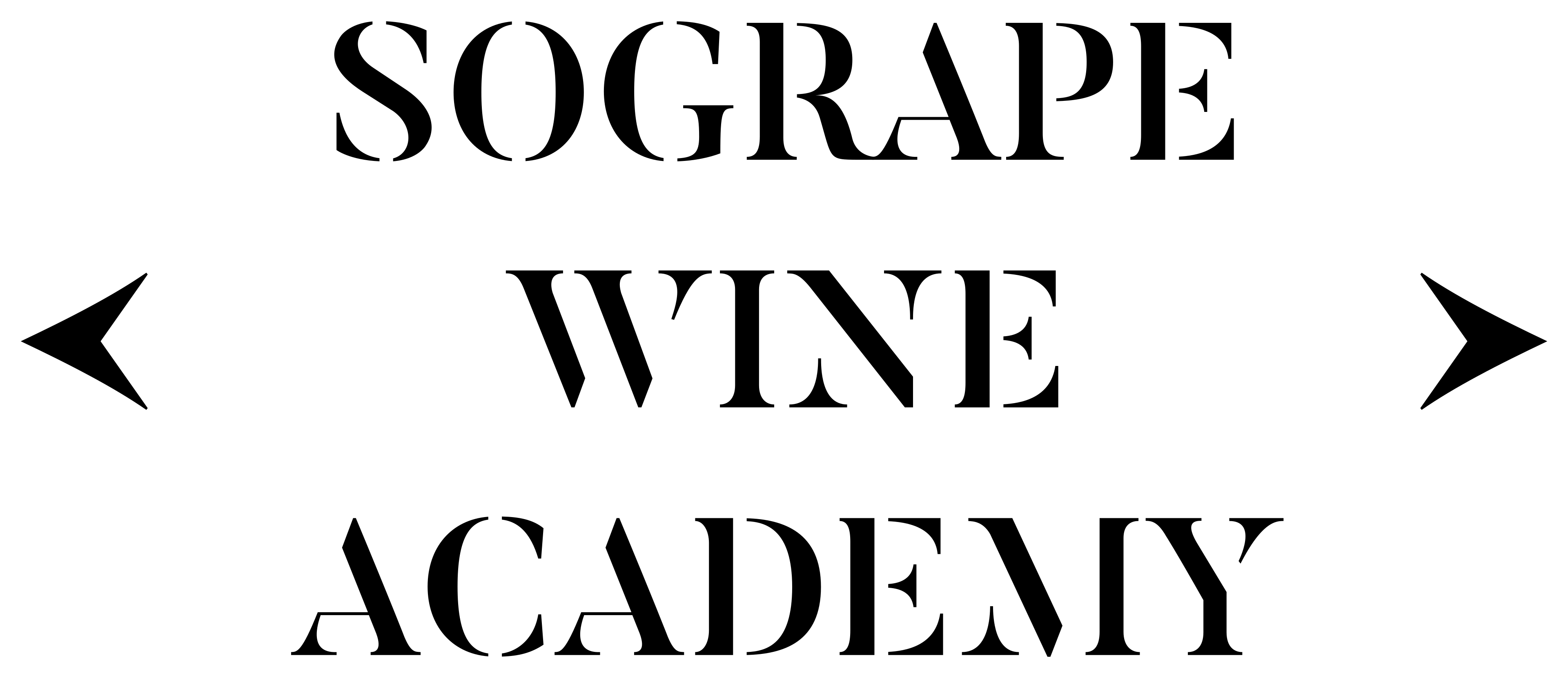 Sogrape Wine Academy - Logo Black