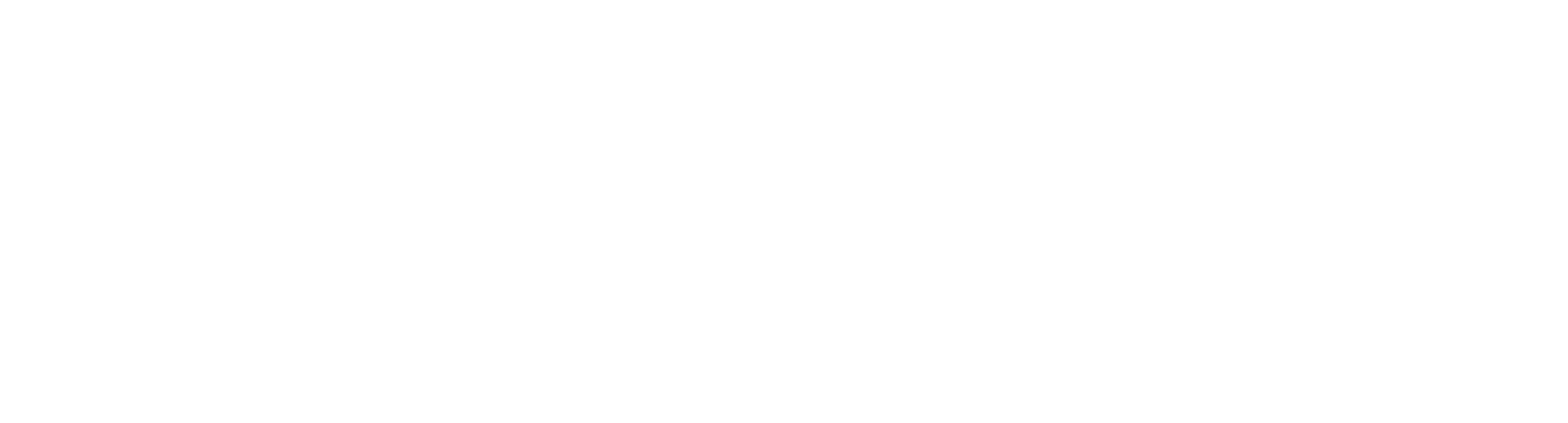 SWA Secondary Logo - Light