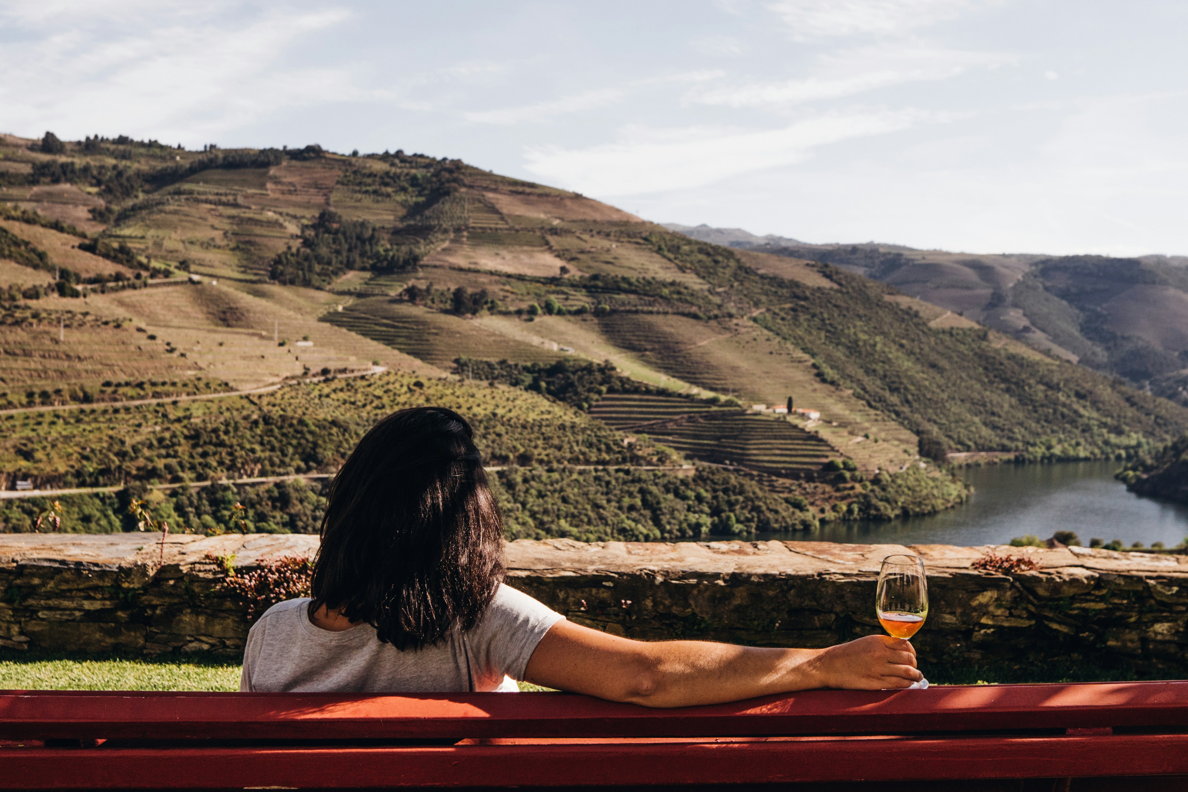 Vista Vinhas Douro