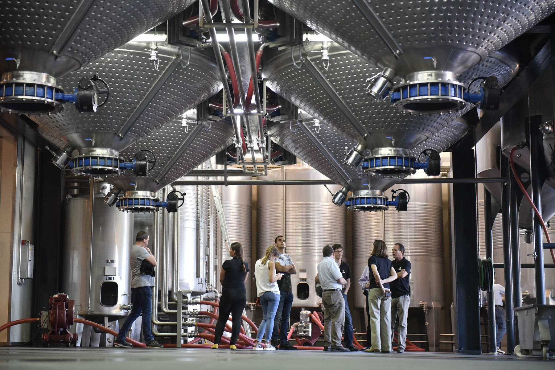 Um grupo de pessoas está a observar grandes tanques de fermentação de aço inoxidável num armazém industrial, com maquinaria e tubagens visíveis