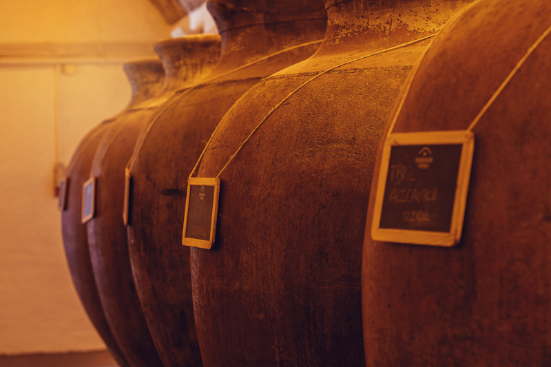 Uma fila de grandes talhas de barro antigas, cada uma com uma etiqueta pendurada, dispostas num ambiente de adega