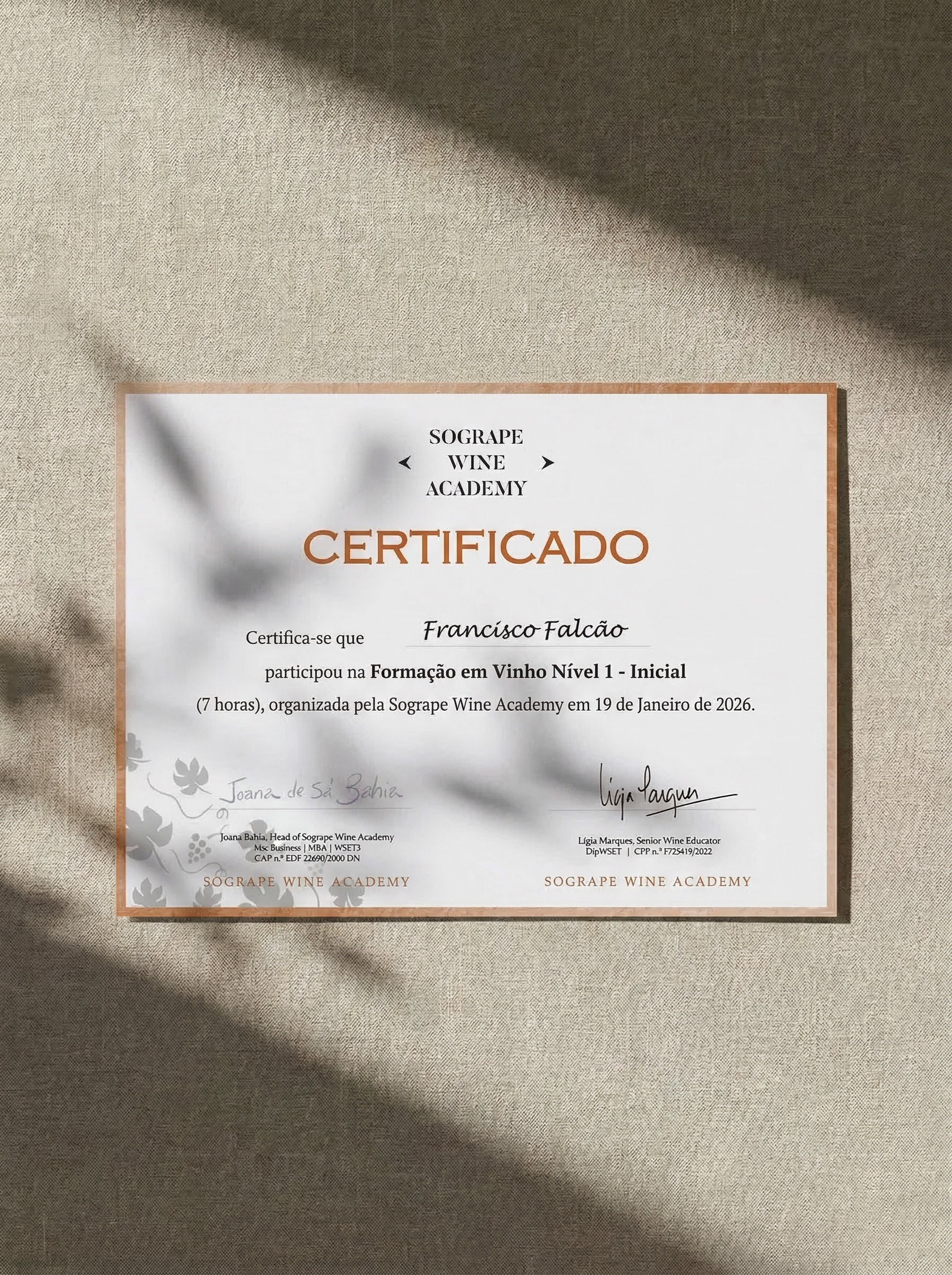 Um certificado da Sogrape Wine Academy atesta a participação de Francisco Falcão numa formação inicial de vinho em janeiro de 2026