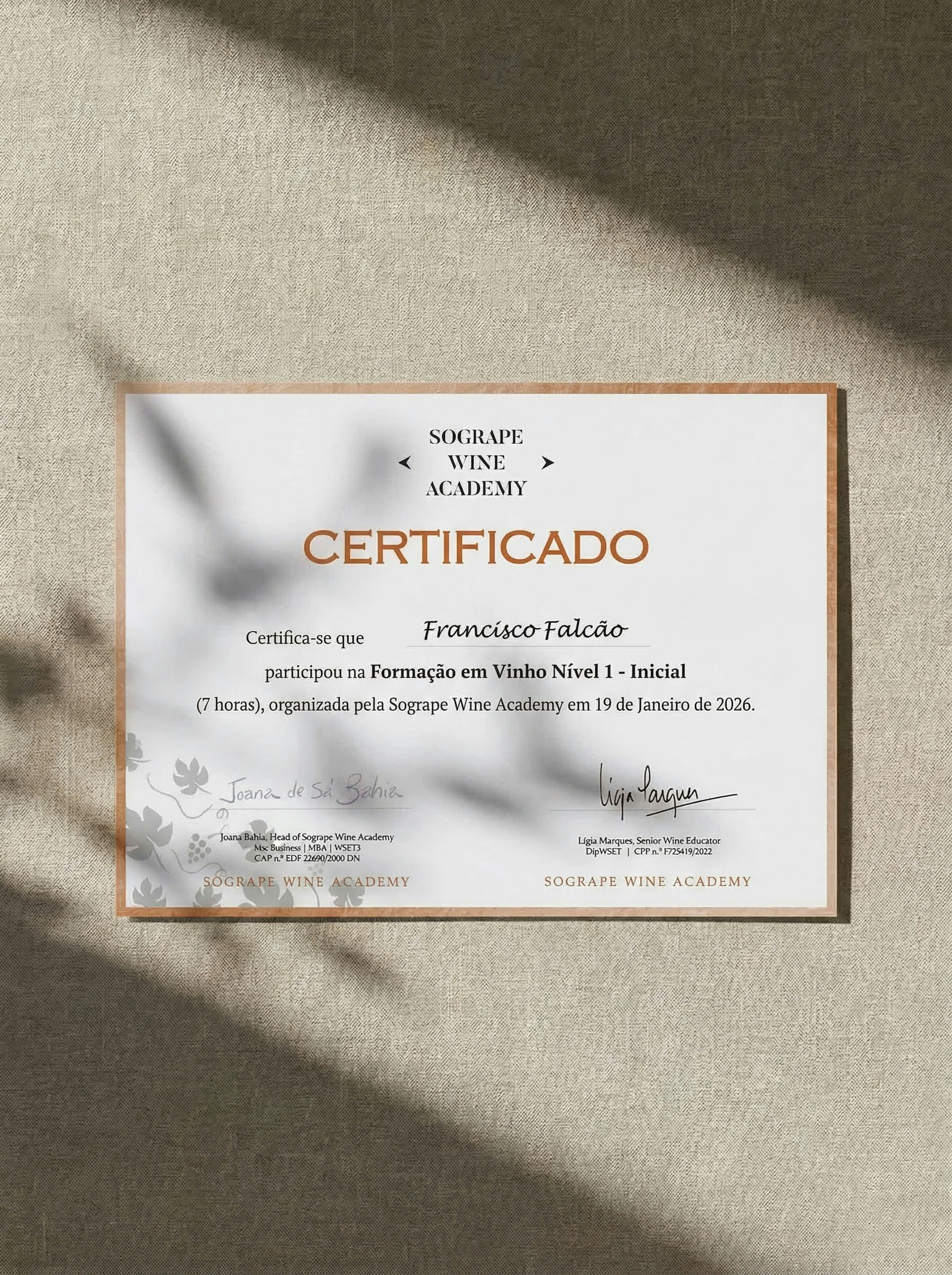 Um certificado da Sogrape Wine Academy atesta a participação de Francisco Falcão numa formação inicial de vinho em janeiro de 2026