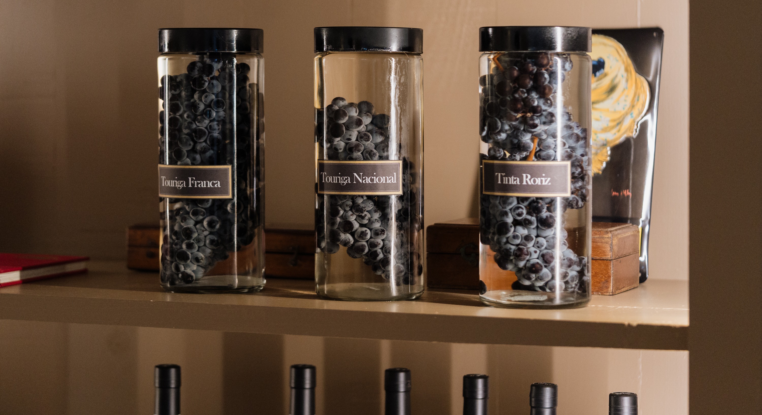 Três frascos de vidro com uvas escuras, rotulados com as suas castas, estão numa prateleira
