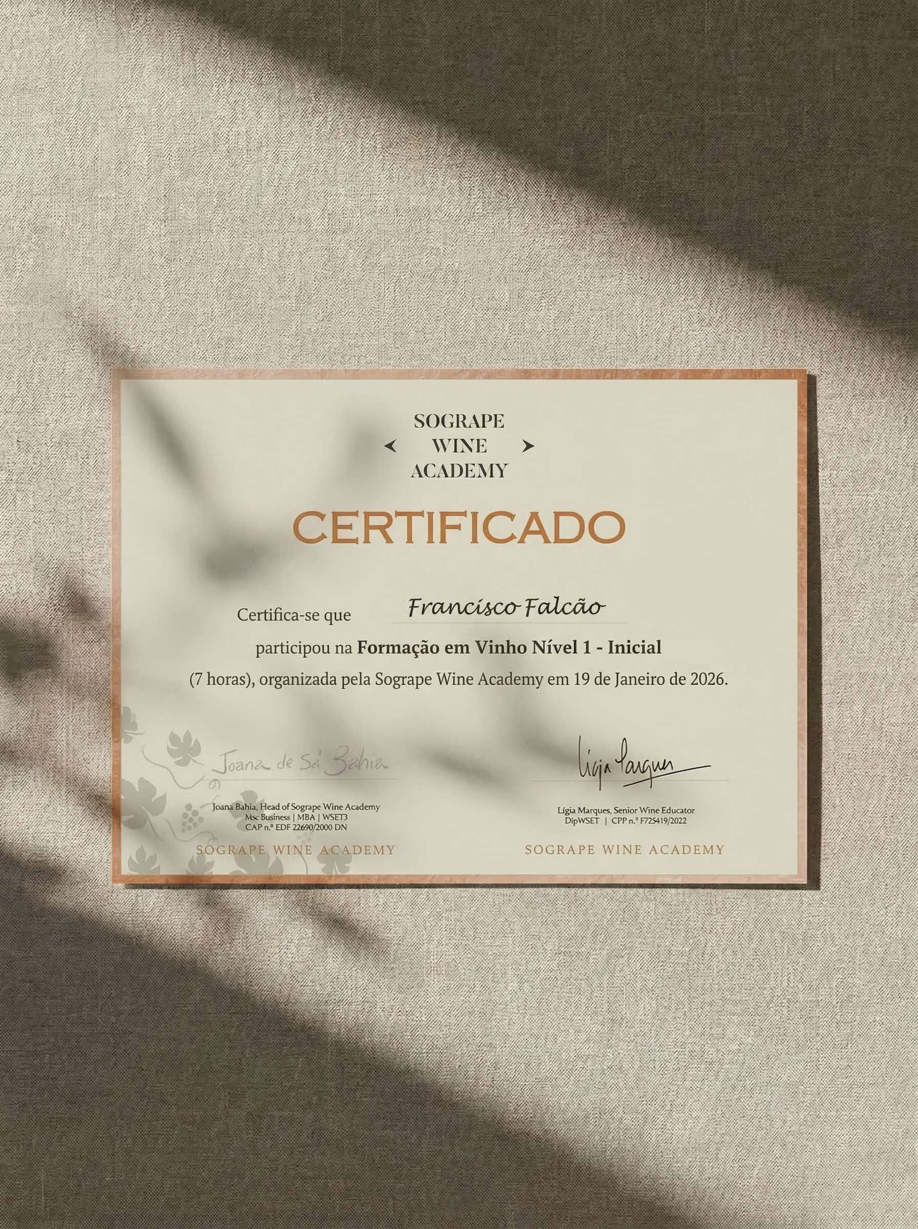Um certificado da Sogrape Wine Academy para Francisco Falcão, atestando a sua participação numa formação em vinho