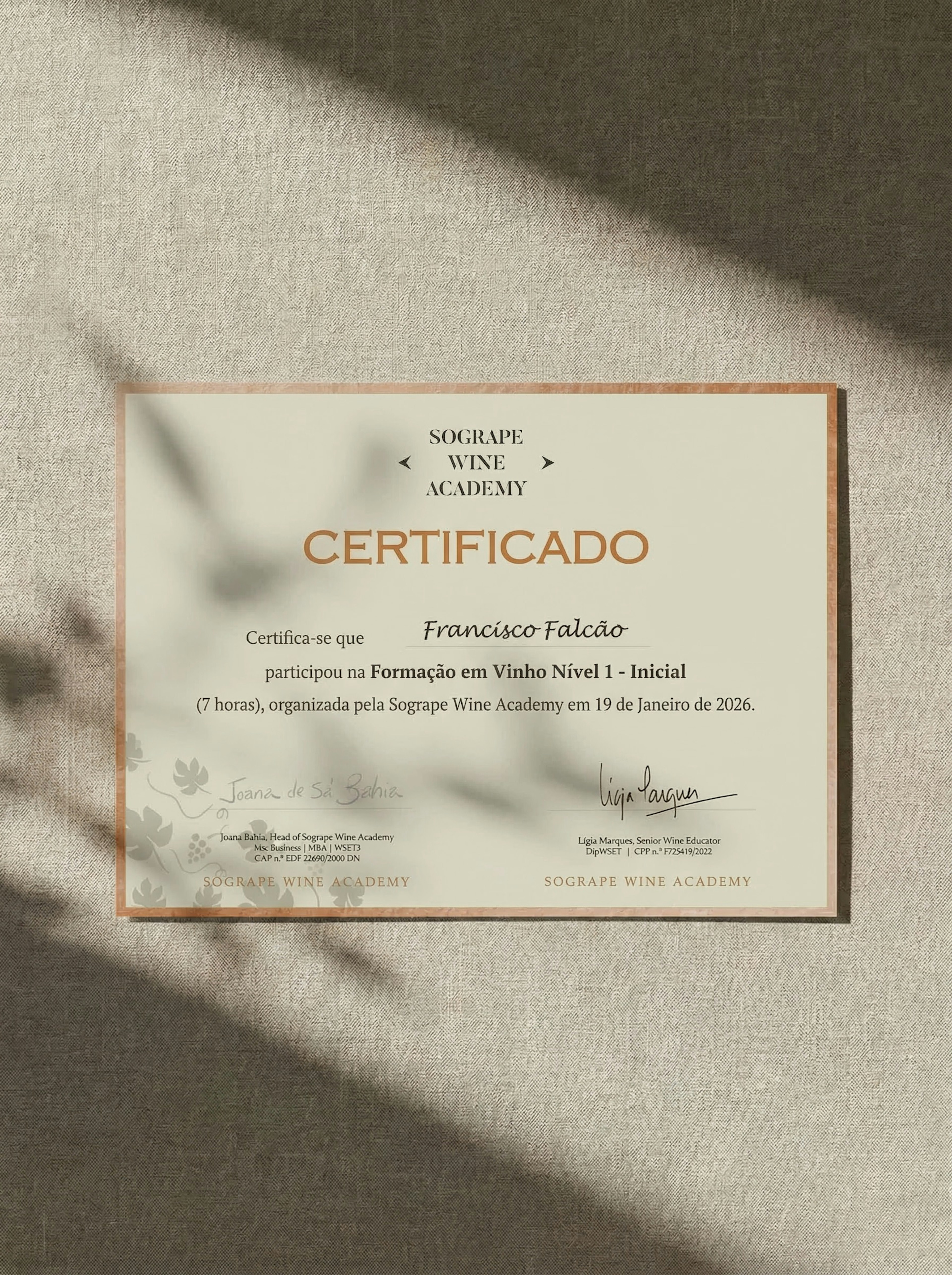 Um certificado da Sogrape Wine Academy para Francisco Falcão, atestando a sua participação numa formação em vinho