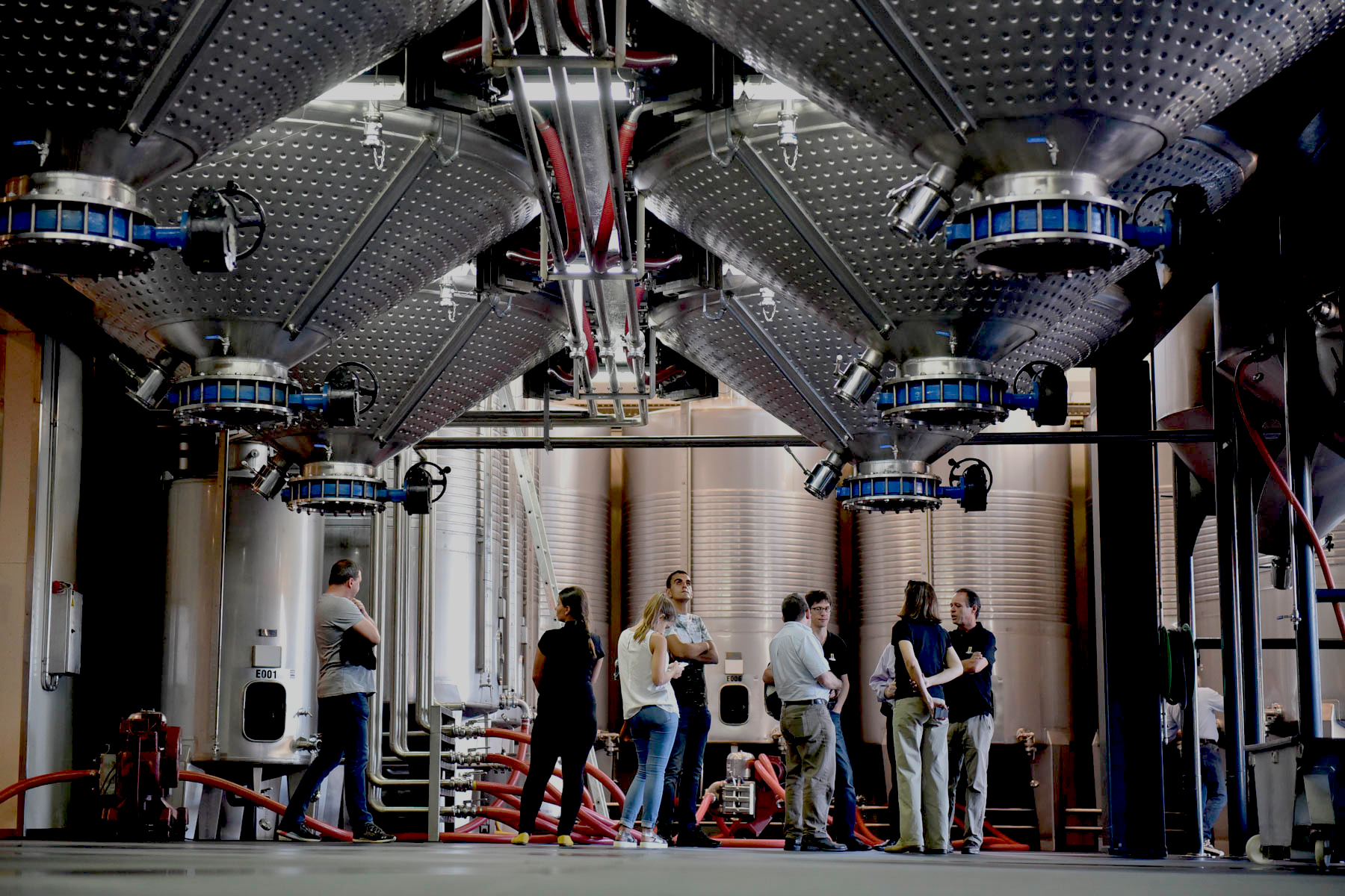 Um grupo de pessoas observa tanques industriais de vinho numa adega moderna