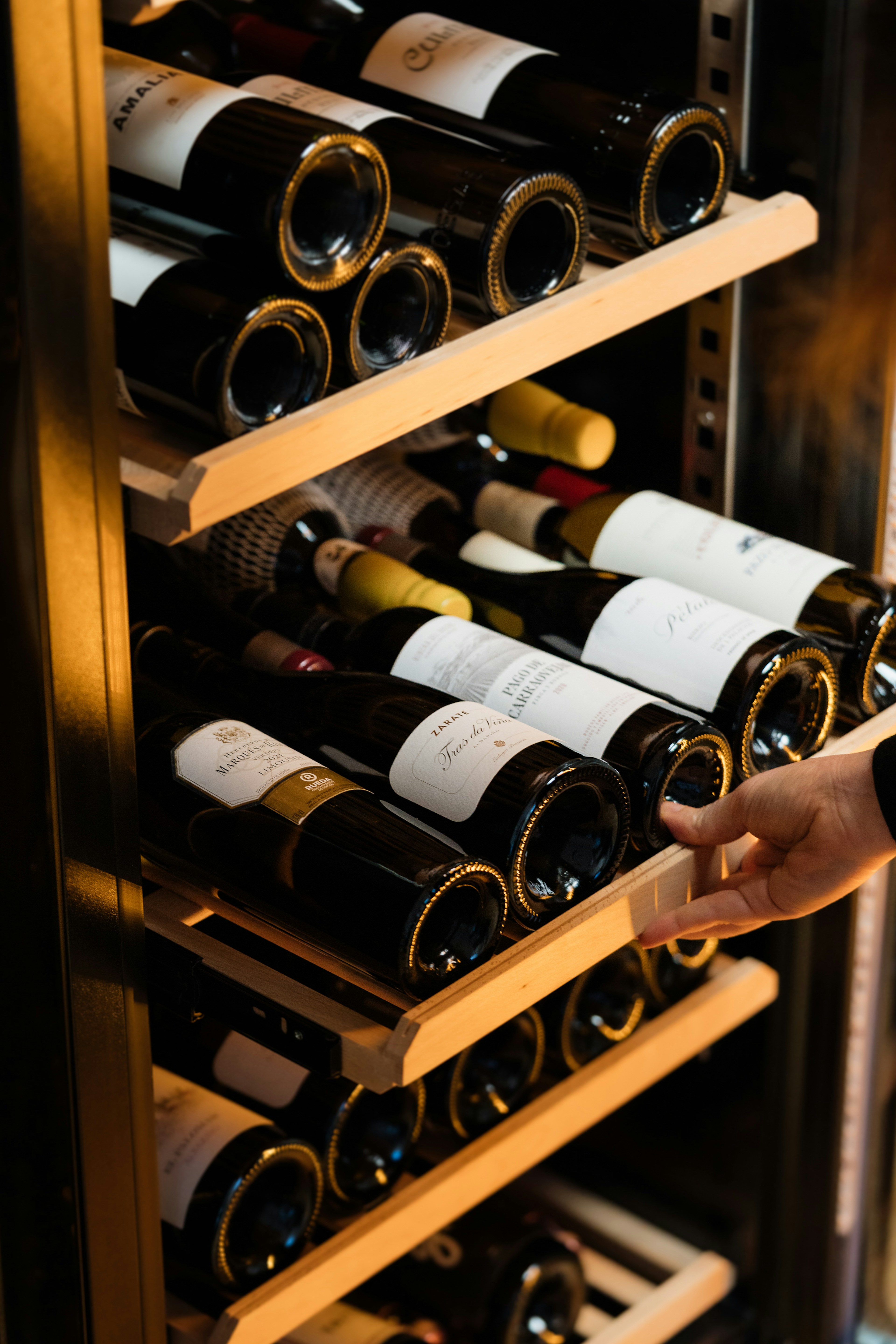 Uma mão retira uma prateleira cheia de garrafas de vinho de uma garrafeira