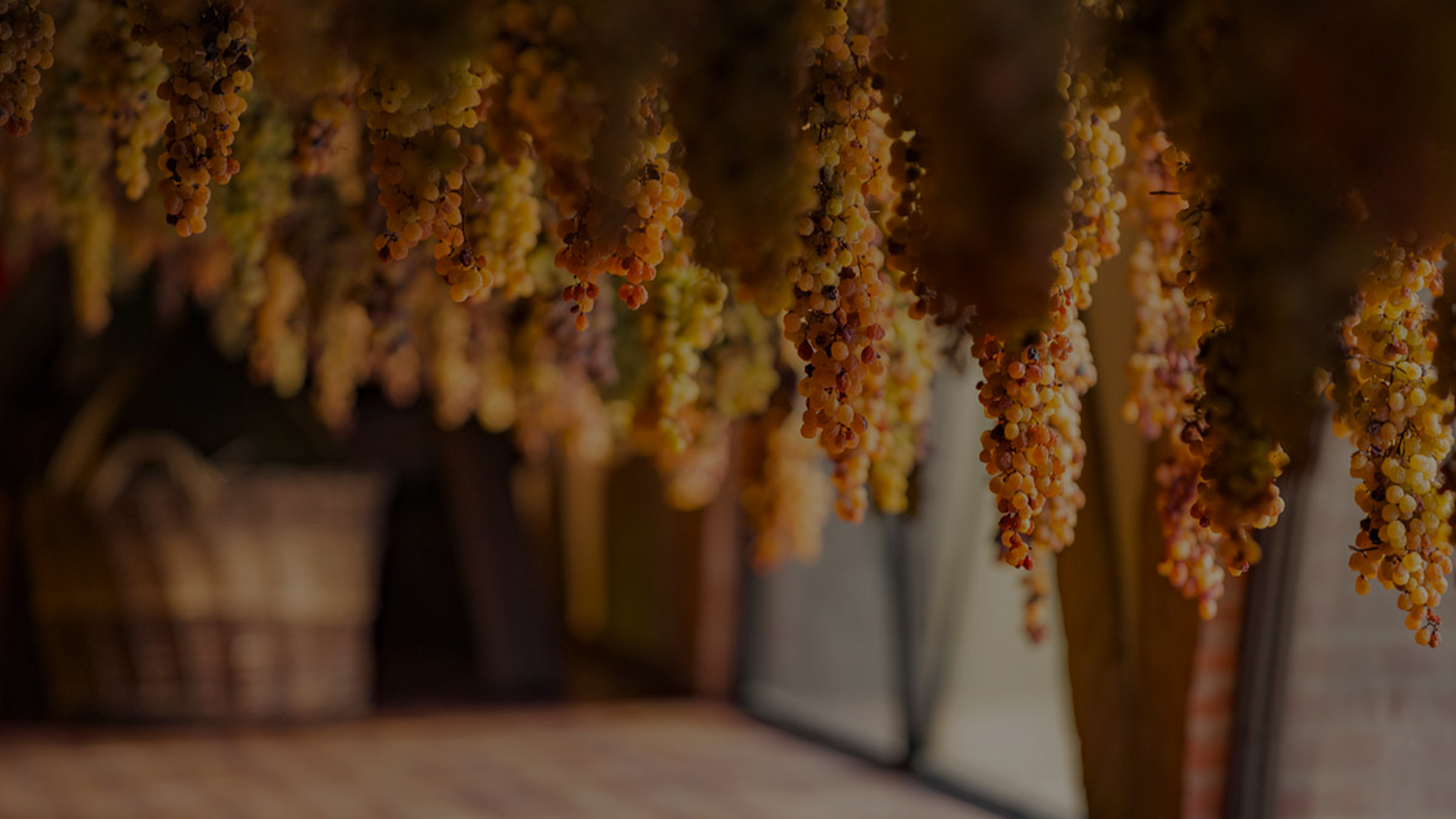 Cachos de uvas pendurados, provavelmente a secar, com um cesto em segundo plano
