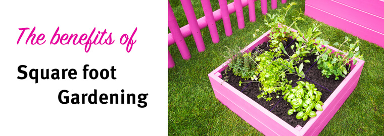 square foot gardening