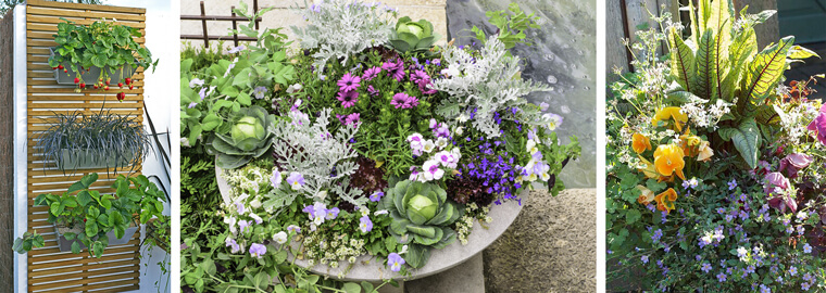 Collage: Edibles planted in vertical planters on a wall, and two potted planters filled with edibles and ornamentals