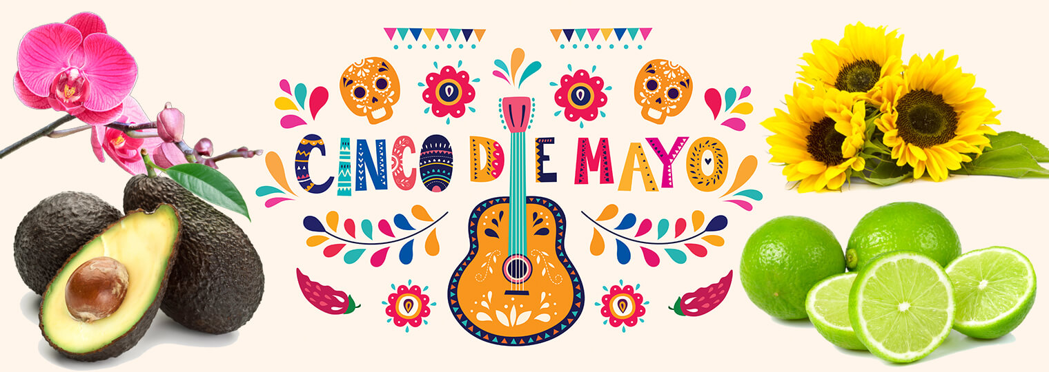 Cinco de Mayo collage with orchids, avocados, sunflowers, limes and flower, flag, face, feather and guitar graphics