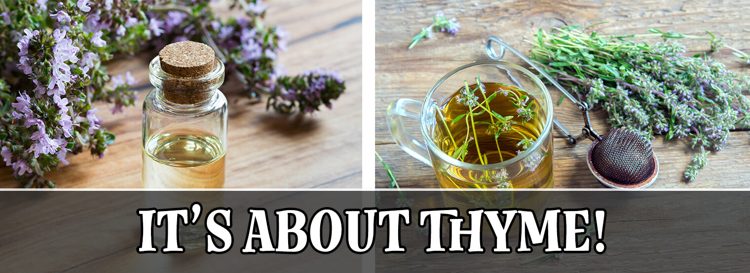 2 images - Blooming thyme on a wooden table and some thyme oil in a glass bottle; and a woodent able with fresh thyme and a tea diffuser on it, next to a glass of tea with thyme in it; across the bottom is a grey banner with the white text on it that says "It's About Thyme"