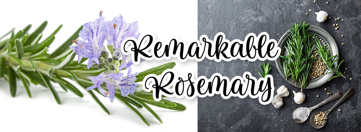 2 images - a closeup of blooming rosemary against a white background; and a dark slate table with fresh herbs on the table and in a bowl--including rosemary; the text "remarkable rosemary" is centered between the images in black text, outlined in white.