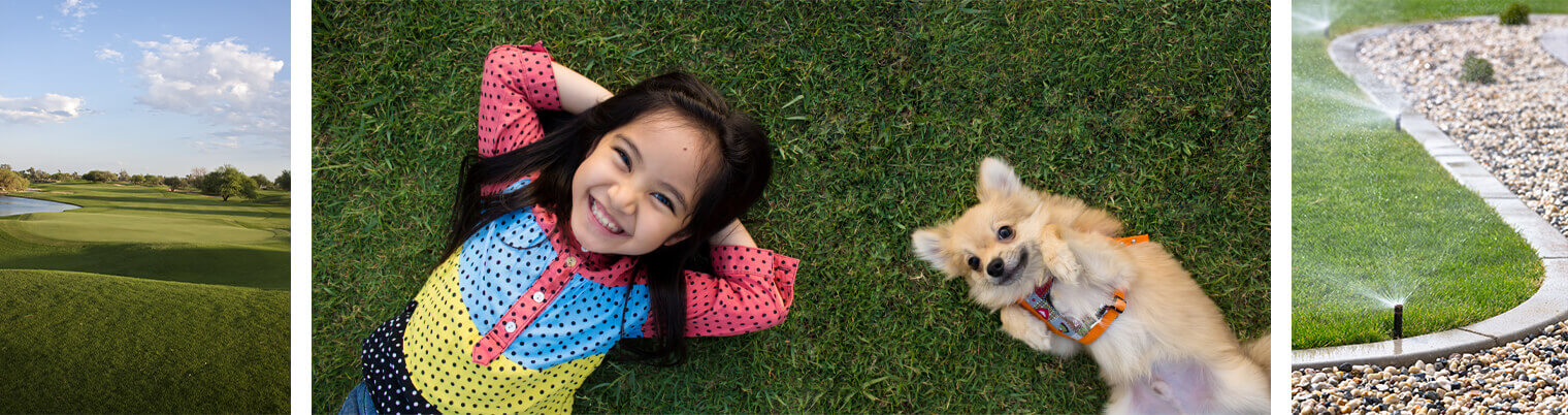 3 images: a golf course lawn; a young girl and dog laying on the grass; a lawn being watered near some small landscape pebbles and plants