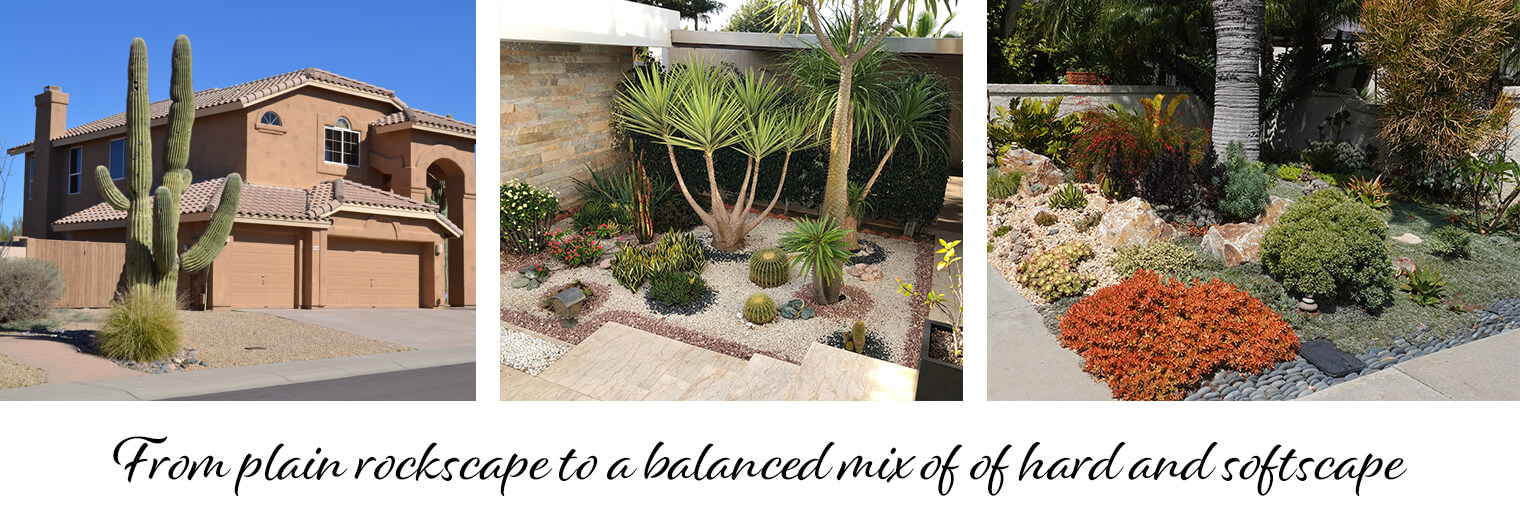 3 different desert rock and plantscapes - 1 with few plants, 1 with an even balance of plants and rock, and one with lots of plants