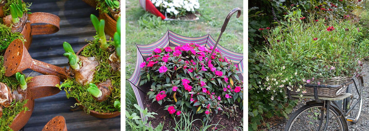 watering pot planter, umbrella planter and bicycle planter- filled with plants and flowers