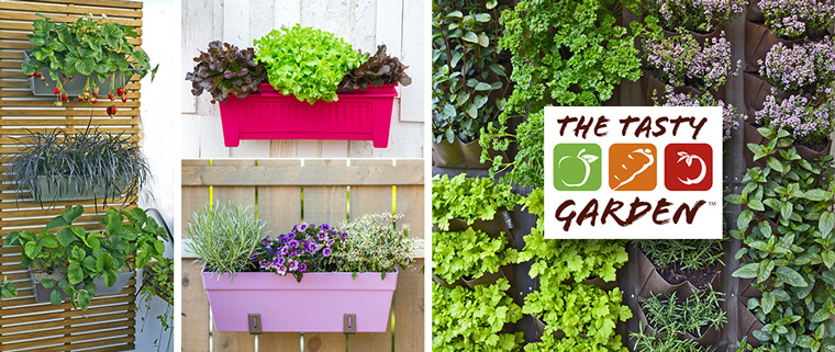 edible container gardening