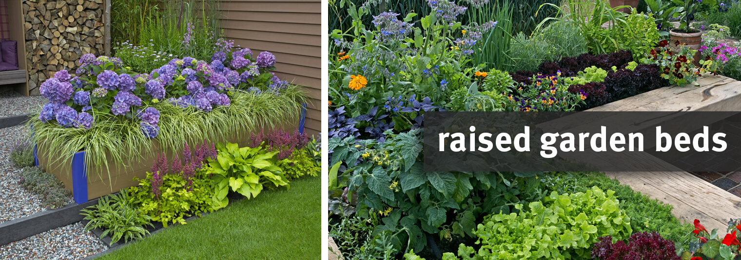 Raised garden beds planted with flowers and edibles