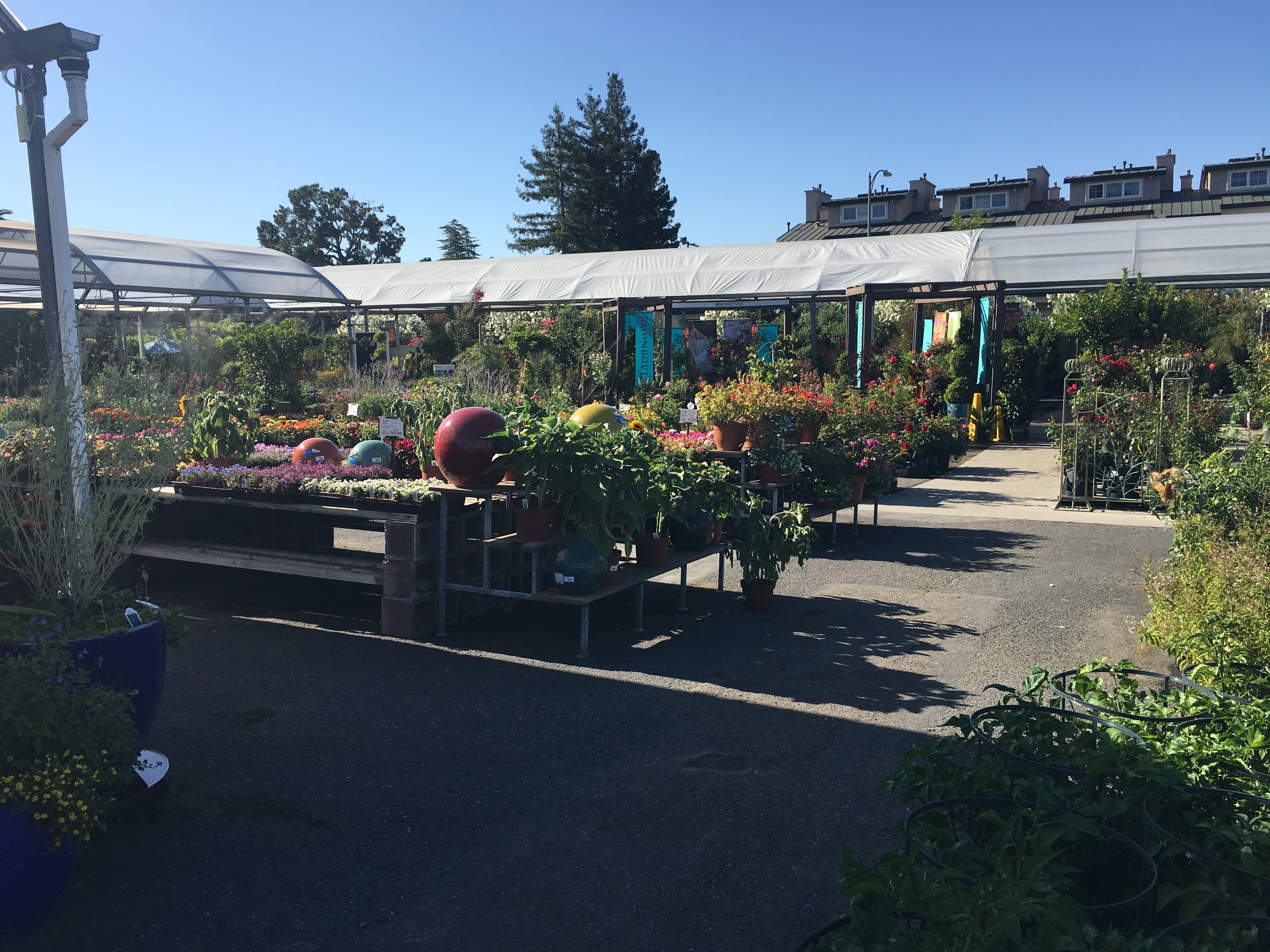 Tables of flowers and plants within a SummerWinds Nursery