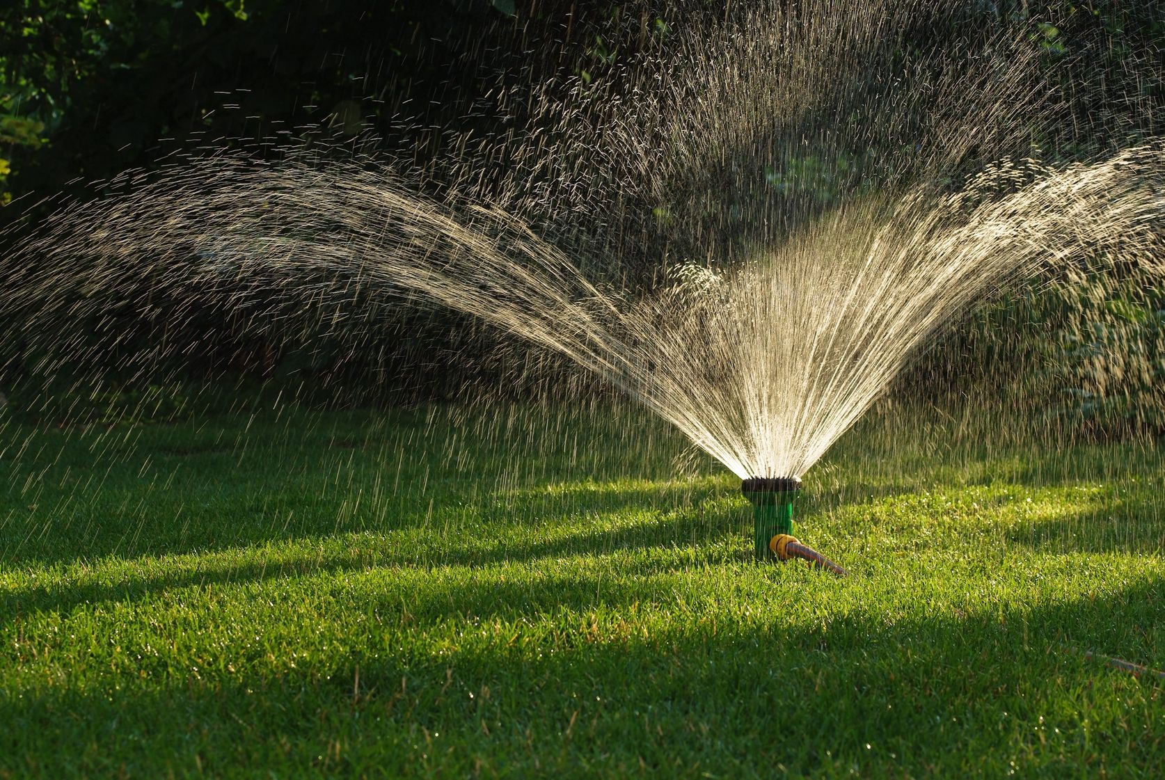 Sprinker on the lawn, spraying up water