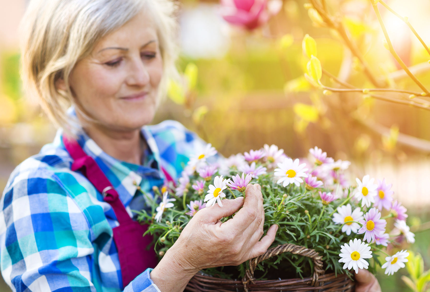Woman looking at a basket of pink and white daisies