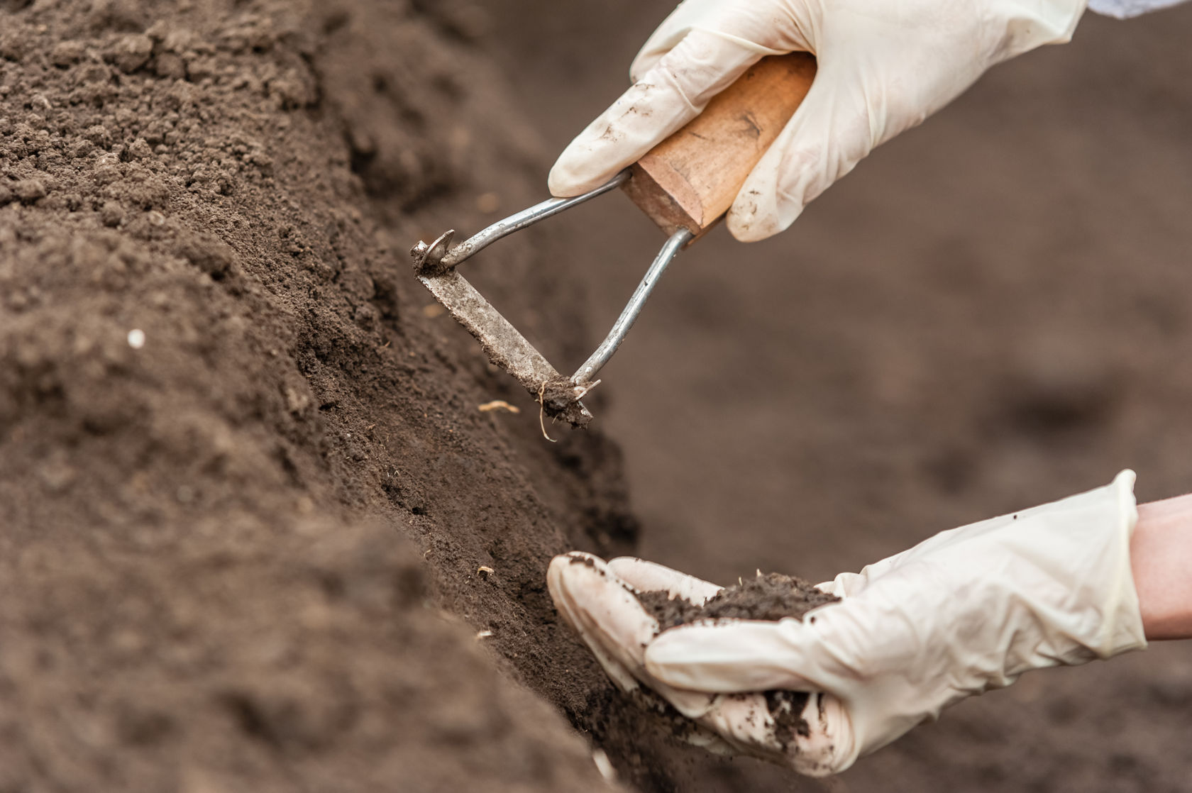 Digging in the dirt with a hand tool to break up the soil