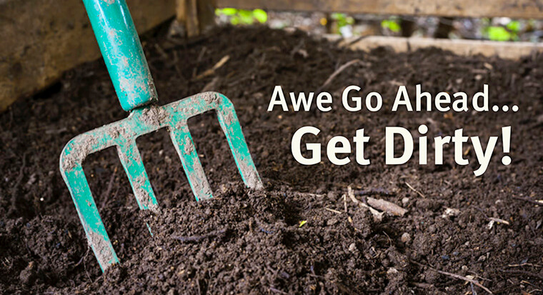 Learn what is in your soil