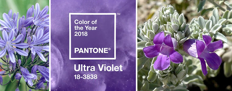 2018 color of the year pantone ultra violet 