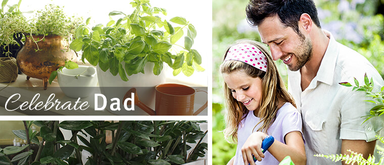 celebrate dad for fathers day with his favorite past-time, gardening