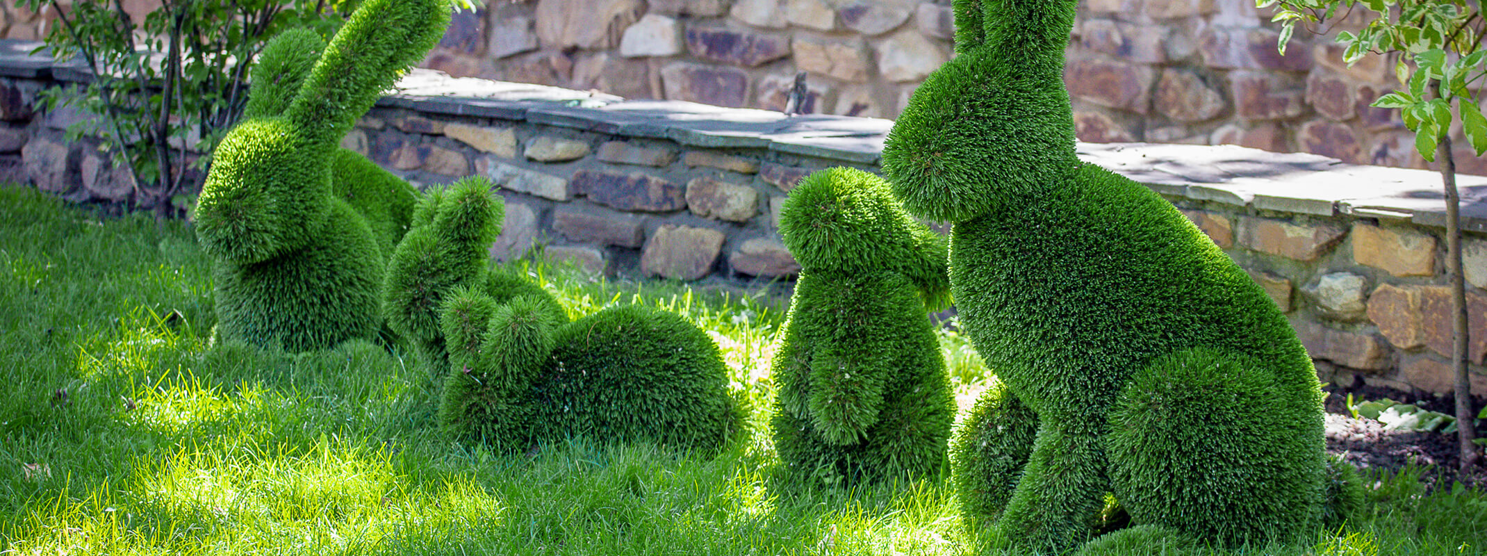 Family of bunny topiaries in a landscape with a half brick wall behind them